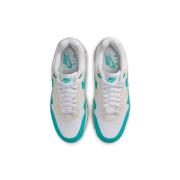 Nike Air Max 1 "Dusty Cactus"