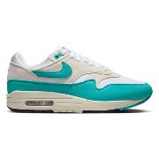 Nike Air Max 1 "Dusty Cactus"